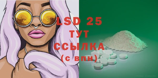 шишки Тавда